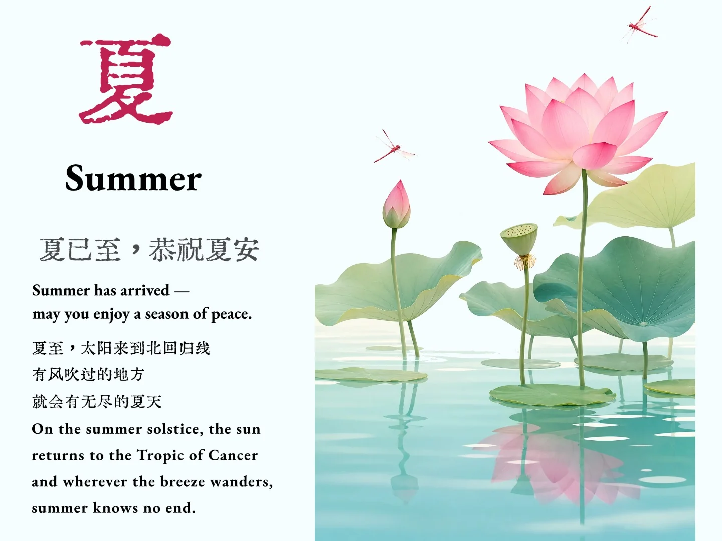 夏 · 国风节气海报:朱砂字“夏”与荷塘